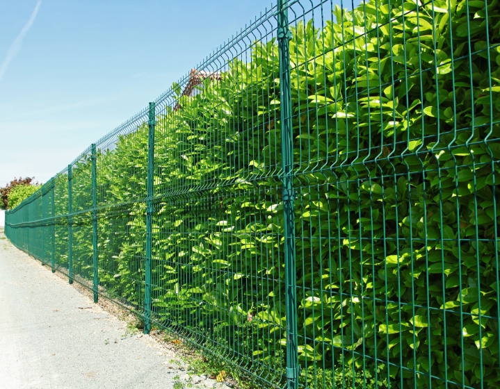 Clôture rigide verte installée le long d’une haie